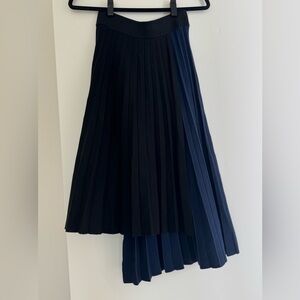NWT Asymmetrical Pleated knit Skirt
